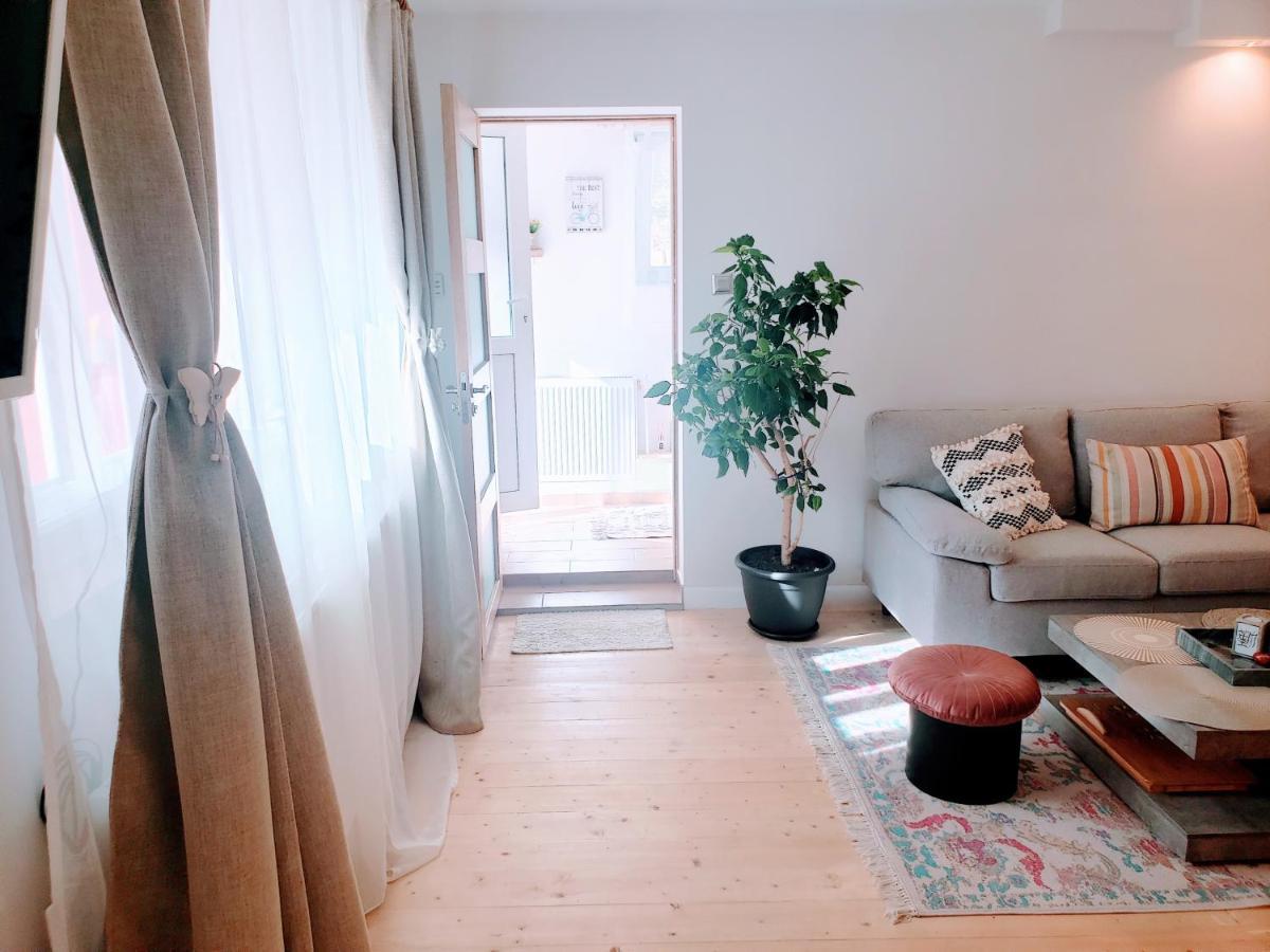 Cosy Studio-House With Terrace Târgu-Mureş Exteriör bild